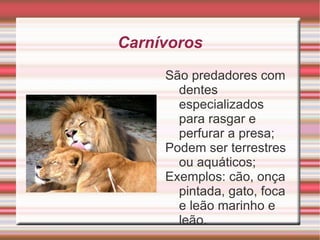 A entrada e a saída de ar são feitas com o auxílio dos músculos que ficam entre a costela e o diafragma, um músculo exclusivo dos mamíferos. 