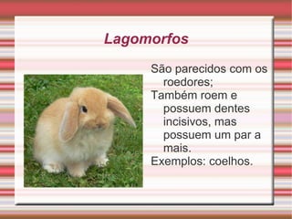 Sistema Nervoso É formado por encéfalo (Cérebro, cerebelo, bulbo e ponte), medula espinhal e nervos. 