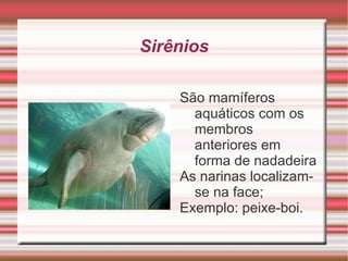 Dependendo do modo de vida do animal, alguns sentidos podem ser mais aguçados que outros. 