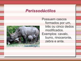 O embrião retira alimento e oxigênio da mãe por meio da placenta; 
