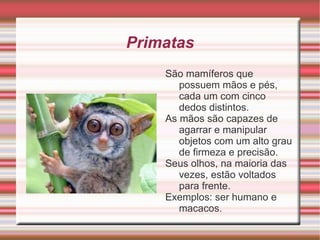 Digestão e alimentação  Os mamíferos possuem uma grande variedade de  hábitos  alimentares; 