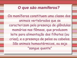 Componentes: Mayra, Mariana e Giovana  