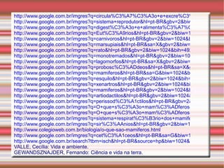 No marsúpio eles se alimentam até completarem seu desenvolvimento; 