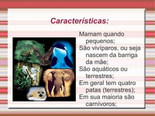 Professores: Lucimar e Liliane 