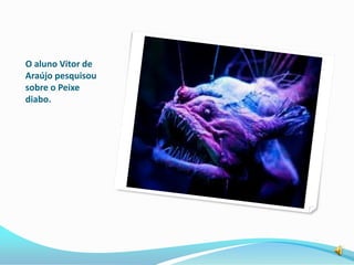 O aluno Vitor de
Araújo pesquisou
sobre o Peixe
diabo.
 