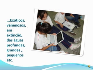 ...Exóticos,
venenosos,
em
extinção,
das águas
profundas,
grandes ,
pequenos
etc.
 