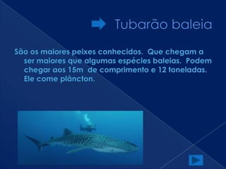 Animais MaríTimo Em Vias De ExtinçãO