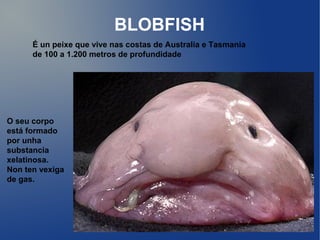 BLOBFISH
      É un peixe que vive nas costas de Australia e Tasmania
      de 100 a 1.200 metros de profundidade




O seu corpo
está formado
por unha
substancia
xelatinosa.
Non ten vexiga
de gas.
 