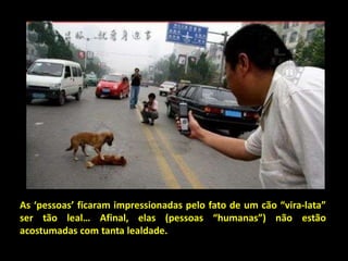 As ‘pessoas’ ficaram impressionadas pelo fato de um cão “vira-lata”
ser tão leal… Afinal, elas (pessoas “humanas”) não estão
acostumadas com tanta lealdade.
 