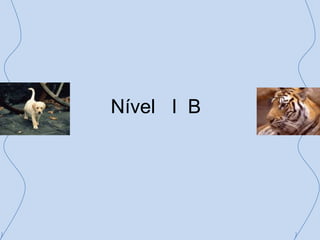 Nível   I  B