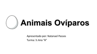 Animais Ovíparos
Apresentado por: Natanael Passos
Turma: ½ Ano “A”
 