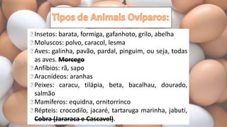 Insetos: barata, formiga, gafanhoto, grilo, abelha
Moluscos: polvo, caracol, lesma
Aves: galinha, pavão, pardal, pinguim, ou seja, todas
as aves. Morcego
Anfíbios: rã, sapo
Aracnídeos: aranhas
Peixes: caracu, tilápia, beta, bacalhau, dourado,
salmão
Mamíferos: equidna, ornitorrinco
Répteis: crocodilo, jacaré, tartaruga marinha, jabuti,
Cobra (Jararaca e Cascavel).
 