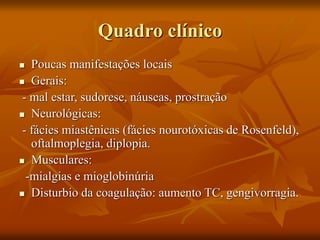 Quadro clínico
 Poucas manifestações locais
 Gerais:
- mal estar, sudorese, náuseas, prostração
 Neurológicas:
- fácies miastênicas (fácies nourotóxicas de Rosenfeld),
oftalmoplegia, diplopia.
 Musculares:
-mialgias e mioglobinúria
 Disturbio da coagulação: aumento TC, gengivorragia.
 