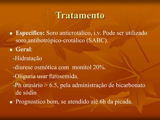 Tratamento
 Específico: Soro anticrotálico, i.v. Pode ser utilizado
soro,antibotrópico-crotálico (SABC).
 Geral:
-Hidratação
-diurese osmótica com monitol 20%.
-Oliguria usar furosemida.
-Ph urinário > 6.5, pela administraçâo de bicarbonato
de sódio
 Prognostico bom, se atendido até 6h da picada.
 