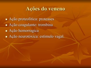 Ações do veneno
 Ação proteolítica: proteases
 Ação coagulante: trombina
 Ação hemorragica
 Ação neurotóxica: estímulo vagal.
 