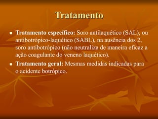 Tratamento
 Tratamento específico: Soro antilaquético (SAL), ou
antibotrópico-laquético (SABL), na ausência dos 2,
soro antibotrópico (não neutraliza de maneira eficaz a
ação coagulante do veneno laquético).
 Tratamento geral: Mesmas medidas indicadas para
o acidente botrópico.
 