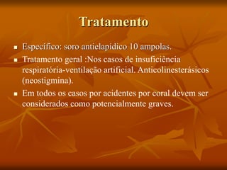 Tratamento
 Específico: soro antielapídico 10 ampolas.
 Tratamento geral :Nos casos de insuficiência
respiratória-ventilação artificial. Anticolinesterásicos
(neostigmina).
 Em todos os casos por acidentes por coral devem ser
considerados como potencialmente graves.
 