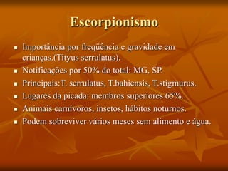 Escorpionismo
 Importância por freqüência e gravidade em
crianças.(Tityus serrulatus).
 Notificações por 50% do total: MG, SP.
 Principais:T. serrulatus, T.bahiensis, T.stigmurus.
 Lugares da picada: membros superiores 65%.
 Animais carnívoros, insetos, hábitos noturnos.
 Podem sobreviver vários meses sem alimento e água.
 