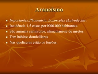 Araneísmo
 Importantes:Phoneutria, Loxosceles eLatrodectus.
 Incidência 1,5 casos por1000.000 habitantes.
 São animais carnívoros, alimentam-se de insetos.
 Tem hábitos domiciliares
 Nas quelíceras estão os ferrões.
 