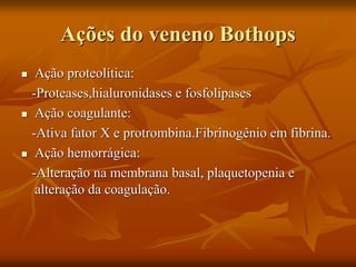 Ações do veneno Bothops
 Ação proteolítica:
-Proteases,hialuronidases e fosfolipases
 Ação coagulante:
-Ativa fator X e protrombina.Fibrinogênio em fibrina.
 Ação hemorrágica:
-Alteração na membrana basal, plaquetopenia e
alteração da coagulação.
 