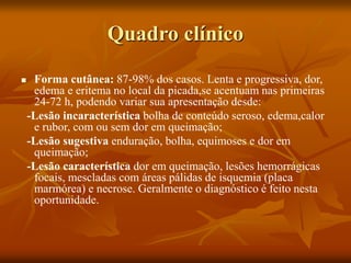 Quadro clínico
 Forma cutânea: 87-98% dos casos. Lenta e progressiva, dor,
edema e eritema no local da picada,se acentuam nas primeiras
24-72 h, podendo variar sua apresentação desde:
-Lesão incaracterística bolha de conteúdo seroso, edema,calor
e rubor, com ou sem dor em queimação;
-Lesão sugestiva enduração, bolha, equimoses e dor em
queimação;
-Lesão característica dor em queimação, lesões hemorrágicas
focais, mescladas com áreas pálidas de isquemia (placa
marmórea) e necrose. Geralmente o diagnóstico é feito nesta
oportunidade.
 