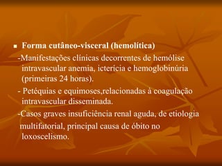  Forma cutâneo-visceral (hemolítica)
-Manifestações clínicas decorrentes de hemólise
intravascular anemia, icterícia e hemoglobinúria
(primeiras 24 horas).
- Petéquias e equimoses,relacionadas à coagulação
intravascular disseminada.
-Casos graves insuficiência renal aguda, de etiologia
multifatorial, principal causa de óbito no
loxoscelismo.
 