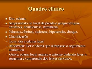 Quadro clínico
 Dor, edema.
 Sangramento no local da picada e gengivorragias,
epistaxes, hematêmese, hematúria.
 Náuseas,vômitos, sudorese, hipotensão, choque.
 Classificação
- Leve: dor e edema local
- Moderada: Dor e edema que ultrapassa o seguimento
anatômico.
- Grave: edema local intenso e extenso podendo levar a
isquemia e compressão dos feixes nervosos.
 