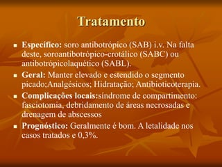 Tratamento
 Específico: soro antibotrópico (SAB) i.v. Na falta
deste, soroantibotrópico-crotálico (SABC) ou
antibotrópicolaquético (SABL).
 Geral: Manter elevado e estendido o segmento
picado;Analgésicos; Hidratação; Antibioticoterapia.
 Complicações locais:síndrome de compartimento:
fasciotomia, debridamento de áreas necrosadas e
drenagem de abscessos
 Prognóstico: Geralmente é bom. A letalidade nos
casos tratados e 0,3%.
 