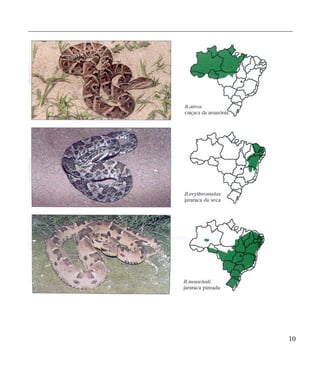 ____________________________________________________________________________




                                                                          10
 