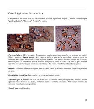 ___________________________________________________________________________________

Coral (gênero Micrurus)

É responsável por cerca de 0,5% dos acidentes ofídicos registrados no país. Também conhecida por
"coral verdadeira", "ibiboboca", "boicorá" e outros.




Características: S ã o serpentes de pequeno e médio porte, com tamanho em torno de um metro.
N ã o possuem fosseta loreal. Seu corpo e coberto por anéis vermelhos, pretos,brancos ou
amarelos.Na Região Amazônica existem algumas espécies com padrão diferente, como, por exemplo,
branco-e-preto. É importante prestar bastante atenção nas cores da coral. Em todo o país existem
serpentes não venenosas com coloração semelhante a das corais verdadeiras: são as falsas-corais.

Habitat: Vivem no solo sob folhagens, buracos, entre raízes de árvores, ambientes florestais e próximo
de água.

Distribuição geográfica: Encontradas cm todo o território brasileiro.

Sintomas após a picada: No local da picada não se observa alteração importante, porem a vitima
apresenta visão borrada ou dupla, pálpebras caídas e aspecto sonolento. Pode haver aumento na
salivação e insuficiência respiratória.

Tipo de soro: Antielapídico.




                                                                                                   13
 