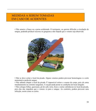 ________________________________________________________________________________


    MEDIDAS A SEREM TOMADAS
    EM CASO DE ACIDENTES


       • Não amarre o braço ou a perna acidentada. O torniquete, ou garrote dificulta a circulação do
       sangue, podendo produzir necrose ou gangrena e não impede que o veneno seja absorvido.




       • Não se deve cortar o local da picada. Alguns venenos podem provocar hemorragias e o corte
       aumentará a perda de sangue.
       • Não adianta chupar o local da picada. È impossível retirar o veneno do corpo, pois ele entra
       imediatamente na corrente sanguínea. A sucção pode piorar as condições do local atingido.
       • Não coloque folhas, querosene, pó de café, terra, fezes e outras substâncias no local da picada,
       pois elas não impedem que o veneno vá para o sangue. Ao contrário, podem provocar uma
       infecção, assim como os cortes.




                                                                                                      16
 