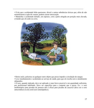 ___________________________________________________________________________

 • Evite que o acidentado beba querosene, álcool e outras substâncias tóxicas que, além de não
 neutralizarem a ação do veneno, podem causar intoxicação.
 • Mantenha o acidentado deitado, em repouso, com a parte atingida em posição mais elevada,
 evitando que ele ande ou corra.




 • Retire anéis, pulseiras ou qualquer outro objeto que possa impedir a circulação do sangue.
 • Leve imediatamente o acidentado ao serviço de saúde, para que ele receba soro e atendimento
 adequados.
 • O soro, quando indicado, deve ser aplicado o mais breve possível e em quantidade suficiente,
 por profissional habilitado. Deve ser específico para a serpente que o picou. Ex.: o soro
 antibotrópico para picadas de jararaca não é eficaz para picadas de cascavel (deve ser o soro
 anticrotálico) ou de coral (soro antielapídico).




                                                                                            17
 