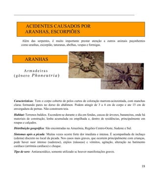 _____________________________________________________________________________



        ACIDENTES CAUSADOS POR
        ARANHAS, ESCORPIÕES
      Além das serpentes, é muito importante prestar atenção a outros animais peçonhentos
     como aranhas, escorpião, taturanas, abelhas, vespas e formigas.



        ARANHAS

    Armadeiras
(gênero Phoneutria)




Características: Tem o corpo coberto de pelos curtos de coloração marrom-acinzentada, com manchas
claras formando pares no dorso do abdômen. Podem atingir de 3 a 4 cm de corpo e ate 15 cm de
envergadura de pernas. Não constroem teia.
Habitat: Terrenos baldios. Escondem-se durante o dia em fendas, cascas de árvores, bananeiras, onde há
materiais de construção, lenha acumulada ou empilhada e, dentro de residências, principalmente em
roupas e calçados.
Distribuição geográfica: São encontradas na Amazônia, Regiões Centro-Oeste, Sudeste e Sul.
Sintomas após a picada: Muitas vezes ocorre forte dor imediata e intensa. É acompanhada de inchaço
(edema) discreto no local da picada. Nos casos mais graves, que ocorrem principalmente com crianças,
pode haver suor intenso (sudorese), enjôos (náuseas) c vômitos, agitação, alteração no batimento
cardíaco (arritmia cardíaca) e choque.
Tipo de soro: Antiaracnídico, somente utilizado sc houver manifestações graves.



                                                                                                   18
 