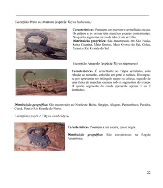 __________________________________________________________________________________

Escorpião Preto ou Marrom (espécie Tityus babiensis)

                                          Características: Possuem cor marrom-avermelhada escura.
                                          Os palpos e as pernas têm manchas escuras contrastantes.
                                          No quarto segmento da cauda não existe serrilha.
                                          Distribuição geográfica: São encontrados em São Paulo,
                                          Santa Catarina, Mato Grosso, Mato Grosso do Sul, Goiás,
                                          Paraná e Rio Grande do Sul.



                                          Escorpião Amarelo (espécie Tityus stigmurus)

                                         Características: É semelhante ao Tityus serrulatus, com
                                         relação ao tamanho, colorido em geral e hábitos. Distingue-
                                         se por apresentar um triângulo negro na cabeça, seguido de
                                         uma faixa de manchas escuras sob os segmentos do tronco.
                                         O quarto segmento da cauda apresenta apenas 1 ou 2
                                         dentinhos.



Distribuição geográfica: São encontrados no Nordeste: Bahia, Sergipe, Alagoas, Pernambuco, Paraíba,
Ceará, Piauí e Rio Grande do Norte.

Escorpião (espécie Tityus cambridgei)


                                      Características: Possuem a cor escura, quase negra.

                                      Distribuição   geográfica:   São   encontrasses   na   Região
                                      Amazônica.




                                                                                                 22
 