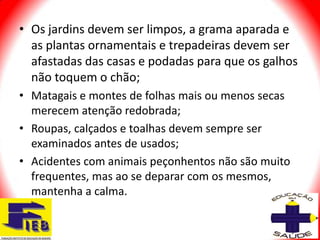 • Os jardins devem ser limpos, a grama aparada e
  as plantas ornamentais e trepadeiras devem ser
  afastadas das casas e podadas para que os galhos
  não toquem o chão;
• Matagais e montes de folhas mais ou menos secas
  merecem atenção redobrada;
• Roupas, calçados e toalhas devem sempre ser
  examinados antes de usados;
• Acidentes com animais peçonhentos não são muito
  frequentes, mas ao se deparar com os mesmos,
  mantenha a calma.
 