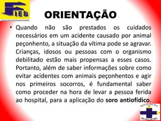 ORIENTAÇÃO
• Quando não são prestados os cuidados
  necessários em um acidente causado por animal
  peçonhento, a situação da vítima pode se agravar.
  Crianças, idosos ou pessoas com o organismo
  debilitado estão mais propensas a esses casos.
  Portanto, além de saber informações sobre como
  evitar acidentes com animais peçonhentos e agir
  nos primeiros socorros, é fundamental saber
  como proceder na hora de levar a pessoa ferida
  ao hospital, para a aplicação do soro antiofídico.
 