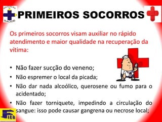 PRIMEIROS SOCORROS
Os primeiros socorros visam auxiliar no rápido
atendimento e maior qualidade na recuperação da
vítima:

• Não fazer sucção do veneno;
• Não espremer o local da picada;
• Não dar nada alcoólico, querosene ou fumo para o
  acidentado;
• Não fazer torniquete, impedindo a circulação do
  sangue: isso pode causar gangrena ou necrose local;
 