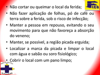 • Não cortar ou queimar o local da ferida;
• Não fazer aplicação de folhas, pó de café ou
  terra sobre a ferida, sob o risco de infecção;
• Manter a pessoa em repouso, evitando o seu
  movimento para que não favoreça a absorção
  do veneno;
• Manter, se possível, a região picada erguida;
• Localizar a marca da picada e limpar o local
  com água e sabão ou soro fisiológico;
• Cobrir o local com um pano limpo;
 
