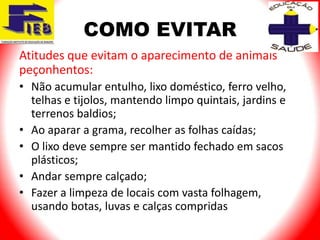 COMO EVITAR
Atitudes que evitam o aparecimento de animais
peçonhentos:
• Não acumular entulho, lixo doméstico, ferro velho,
  telhas e tijolos, mantendo limpo quintais, jardins e
  terrenos baldios;
• Ao aparar a grama, recolher as folhas caídas;
• O lixo deve sempre ser mantido fechado em sacos
  plásticos;
• Andar sempre calçado;
• Fazer a limpeza de locais com vasta folhagem,
  usando botas, luvas e calças compridas
 