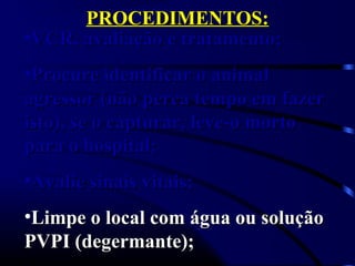 PROCEDIMENTOS:PROCEDIMENTOS:
•VCR, avaliação e tratamento;VCR, avaliação e tratamento;
•Procure identificar o animalProcure identificar o animal
agressor (não perca tempo em fazeragressor (não perca tempo em fazer
isto), se o capturar, leve-o mortoisto), se o capturar, leve-o morto
para o hospital;para o hospital;
•Avalie sinais vitais;Avalie sinais vitais;
•Limpe o local com água ou soluçãoLimpe o local com água ou solução
PVPI (degermante);PVPI (degermante);
 
