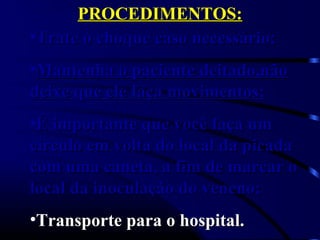 PROCEDIMENTOS:PROCEDIMENTOS:
•Trate o choque caso necessário;Trate o choque caso necessário;
•Mantenha o paciente deitado,nãoMantenha o paciente deitado,não
deixe que ele faça movimentos;deixe que ele faça movimentos;
•É importante que você faça umÉ importante que você faça um
circulo em volta do local da picadacirculo em volta do local da picada
com uma caneta, a fim de marcar ocom uma caneta, a fim de marcar o
local da inoculação do veneno;local da inoculação do veneno;
•Transporte para o hospital.Transporte para o hospital.
 