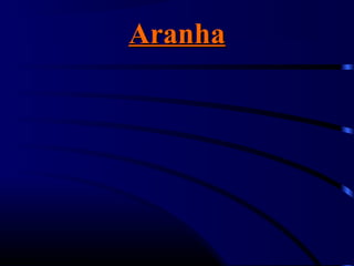 AranhaAranha
 