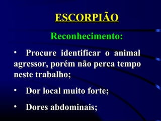 ESCORPIÃOESCORPIÃO
Reconhecimento:Reconhecimento:
• Procure identificar o animalProcure identificar o animal
agressor, porém não perca tempoagressor, porém não perca tempo
neste trabalho;neste trabalho;
• Dor local muito forte;Dor local muito forte;
• Dores abdominais;Dores abdominais;
 