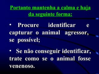 Portanto mantenha a calma e hajaPortanto mantenha a calma e haja
da seguinte forma:da seguinte forma:
• Procure identificar eProcure identificar e
capturar o animal agressor,capturar o animal agressor,
se possível;se possível;
• Se não conseguir identificar,Se não conseguir identificar,
trate como se o animal fossetrate como se o animal fosse
venenoso.venenoso.
 