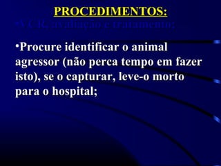 PROCEDIMENTOS:PROCEDIMENTOS:
•VCR, avaliação e tratamento;VCR, avaliação e tratamento;
•Procure identificar o animalProcure identificar o animal
agressor (não perca tempo em fazeragressor (não perca tempo em fazer
isto), se o capturar, leve-o mortoisto), se o capturar, leve-o morto
para o hospital;para o hospital;
 