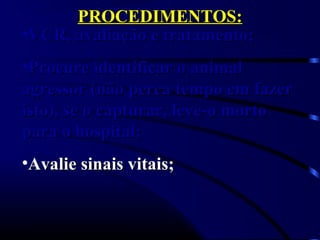 PROCEDIMENTOS:PROCEDIMENTOS:
•VCR, avaliação e tratamento;VCR, avaliação e tratamento;
•Procure identificar o animalProcure identificar o animal
agressor (não perca tempo em fazeragressor (não perca tempo em fazer
isto), se o capturar, leve-o mortoisto), se o capturar, leve-o morto
para o hospital;para o hospital;
•Avalie sinais vitais;Avalie sinais vitais;
 