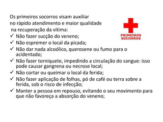 Os primeiros socorros visam auxiliar
no rápido atendimento e maior qualidade
na recuperação da vítima:
 Não fazer sucção do veneno;
 Não espremer o local da picada;
 Não dar nada alcoólico, querosene ou fumo para o
acidentado;
 Não fazer torniquete, impedindo a circulação do sangue: isso
pode causar gangrena ou necrose local;
 Não cortar ou queimar o local da ferida;
 Não fazer aplicação de folhas, pó de café ou terra sobre a
ferida, sob o risco de infecção;
 Manter a pessoa em repouso, evitando o seu movimento para
que não favoreça a absorção do veneno;
 