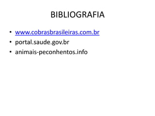 BIBLIOGRAFIA
• www.cobrasbrasileiras.com.br
• portal.saude.gov.br
• animais-peconhentos.info
 