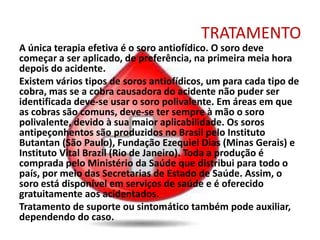 TRATAMENTO
A única terapia efetiva é o soro antiofídico. O soro deve
começar a ser aplicado, de preferência, na primeira meia hora
depois do acidente.
Existem vários tipos de soros antiofídicos, um para cada tipo de
cobra, mas se a cobra causadora do acidente não puder ser
identificada deve-se usar o soro polivalente. Em áreas em que
as cobras são comuns, deve-se ter sempre à mão o soro
polivalente, devido à sua maior aplicabilidade. Os soros
antipeçonhentos são produzidos no Brasil pelo Instituto
Butantan (São Paulo), Fundação Ezequiel Dias (Minas Gerais) e
Instituto Vital Brazil (Rio de Janeiro). Toda a produção é
comprada pelo Ministério da Saúde que distribui para todo o
país, por meio das Secretarias de Estado de Saúde. Assim, o
soro está disponível em serviços de saúde e é oferecido
gratuitamente aos acidentados.
Tratamento de suporte ou sintomático também pode auxiliar,
dependendo do caso.
 