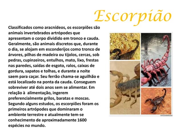 Animais peçonhentos